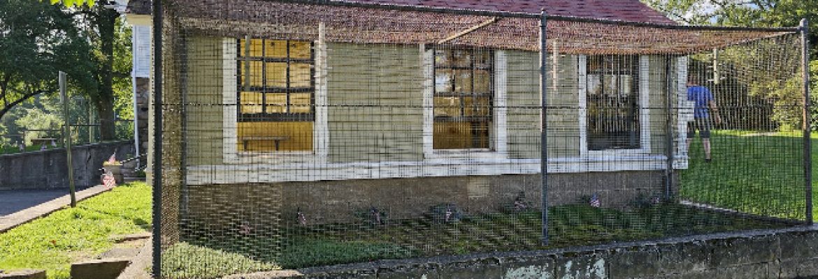 Parakeet House