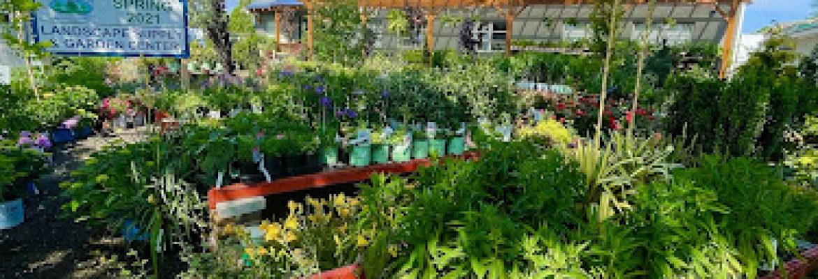 Shannon Lawn & Landscaping Inc.