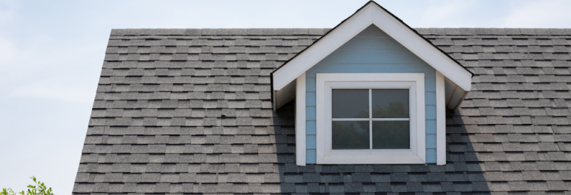 City Roofing & Siding Inc.