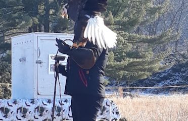 Shepaug Eagle Viewing