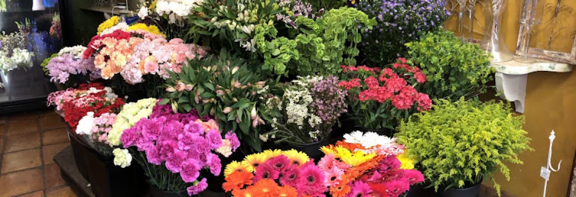 Springdale Florist & Greenhouses