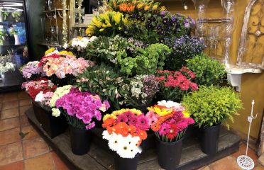 Springdale Florist & Greenhouses