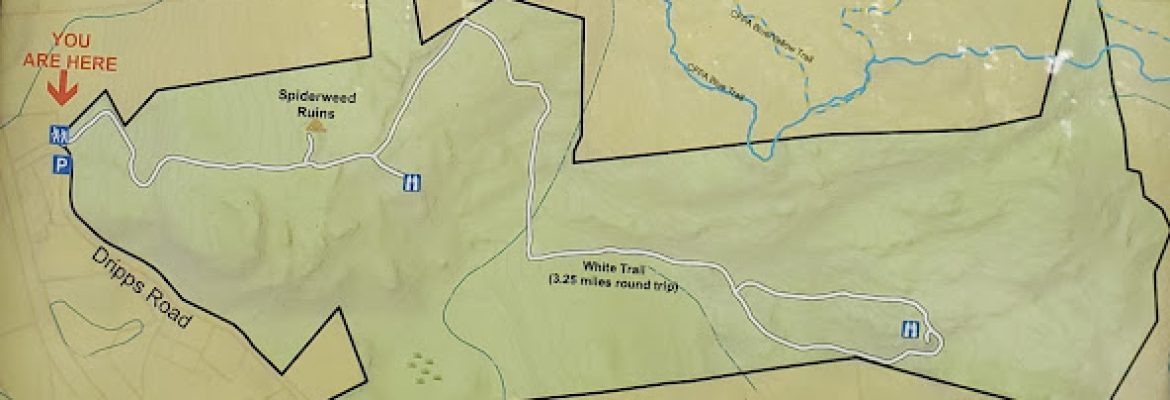 Spiderweed Preserve
