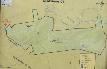 Spiderweed Preserve