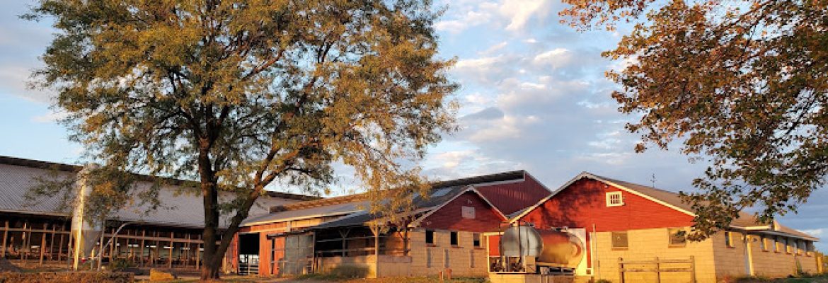 Fairholm Farm Inc