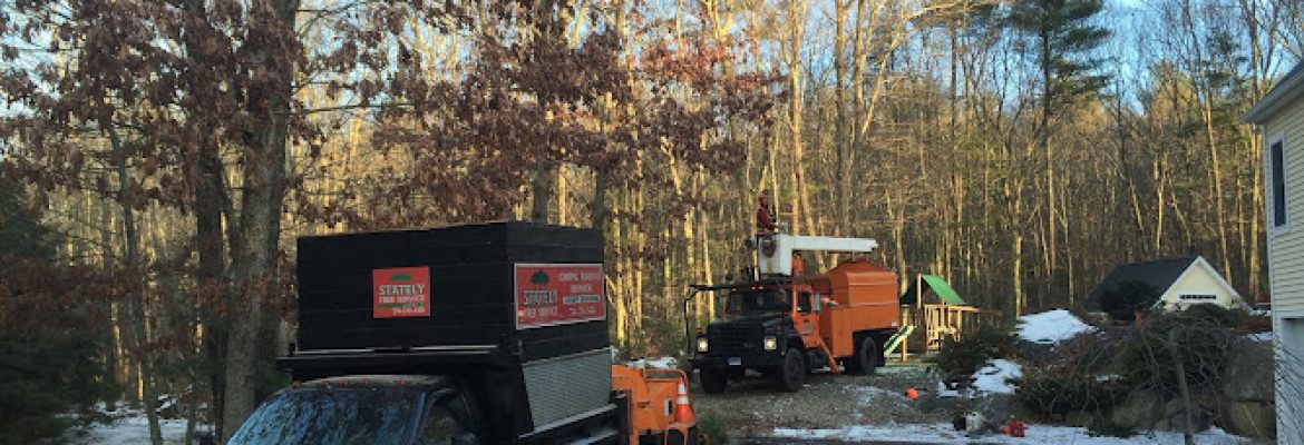 Stately Tree Service LLC