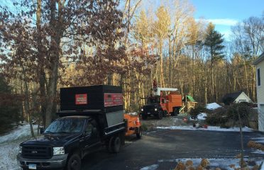 Stately Tree Service LLC