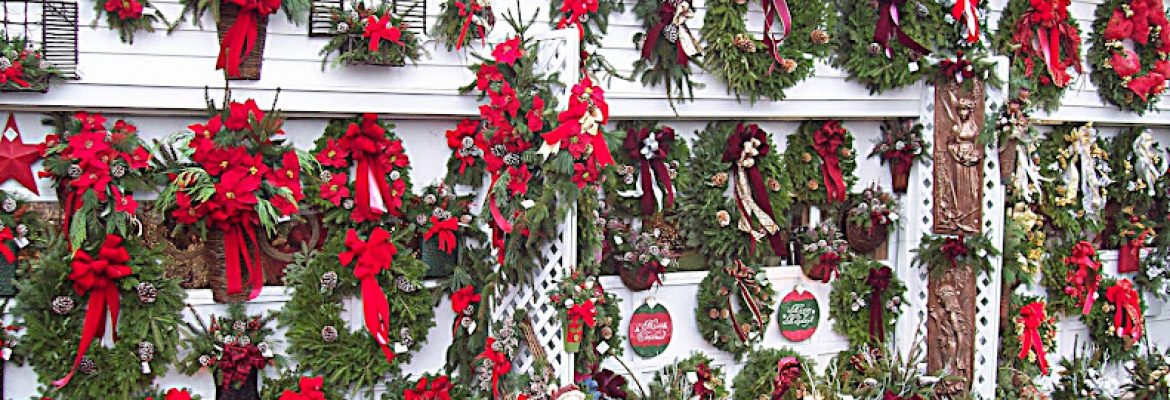 Plumb Farms Nursery & Flowers