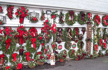 Plumb Farms Nursery & Flowers