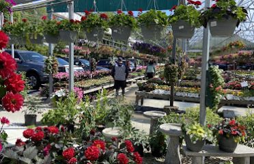 Hart’s Greenhouse & Garden Center