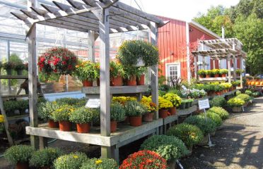 Running Brook Farms