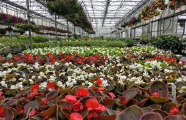 Brierwood Nurseries