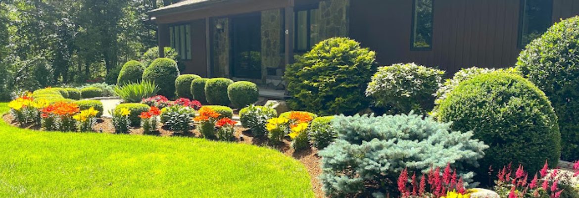 Quality Landscaping Inc