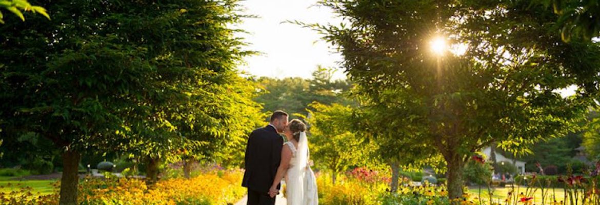 Photo Expressions – Award Winning Wedding & Portrait Photographers