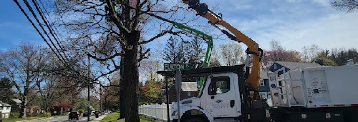 Trout Brook Arborists