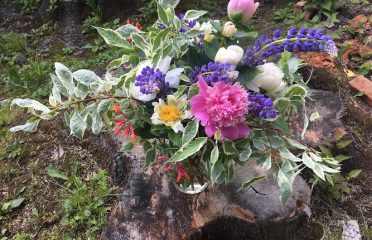 Dandelion Gardening Arts LLC