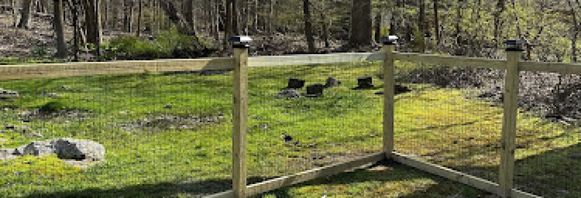 HV Landscaping Services