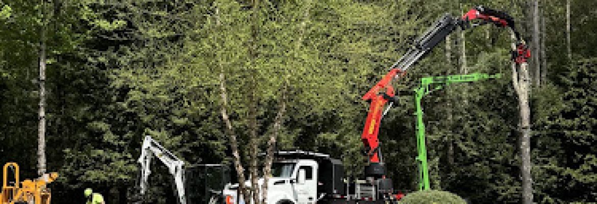 Country Tree Experts