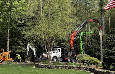 Country Tree Experts