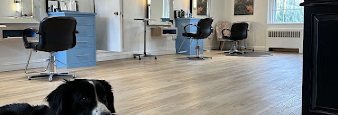 B Hive Salon