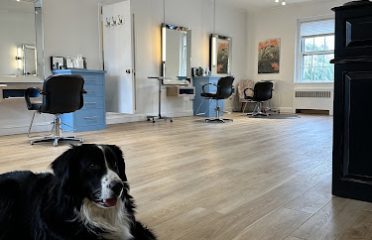 B Hive Salon