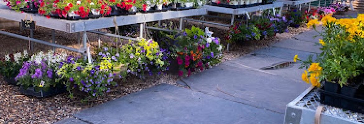 Garden at Pinehurst Farm