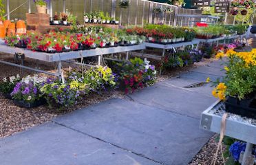 Garden at Pinehurst Farm