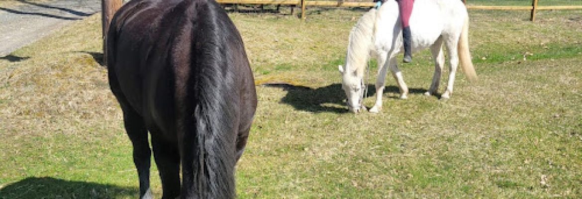 Chestnut Grove Equestrian Center
