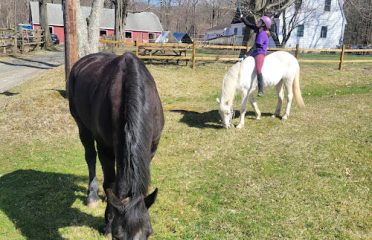 Chestnut Grove Equestrian Center