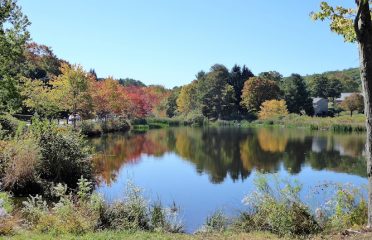 Realty By Lori Geraci at Better Homes and Gardens Real Estate Gaetano Marra Homes