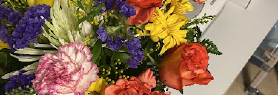 New Haven Florist