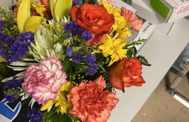 New Haven Florist