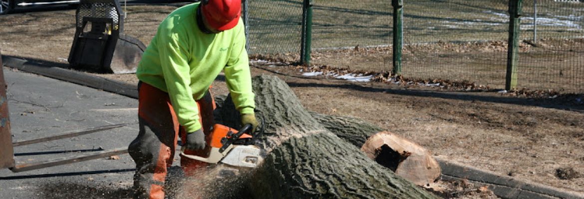 Evergreen Tree Service