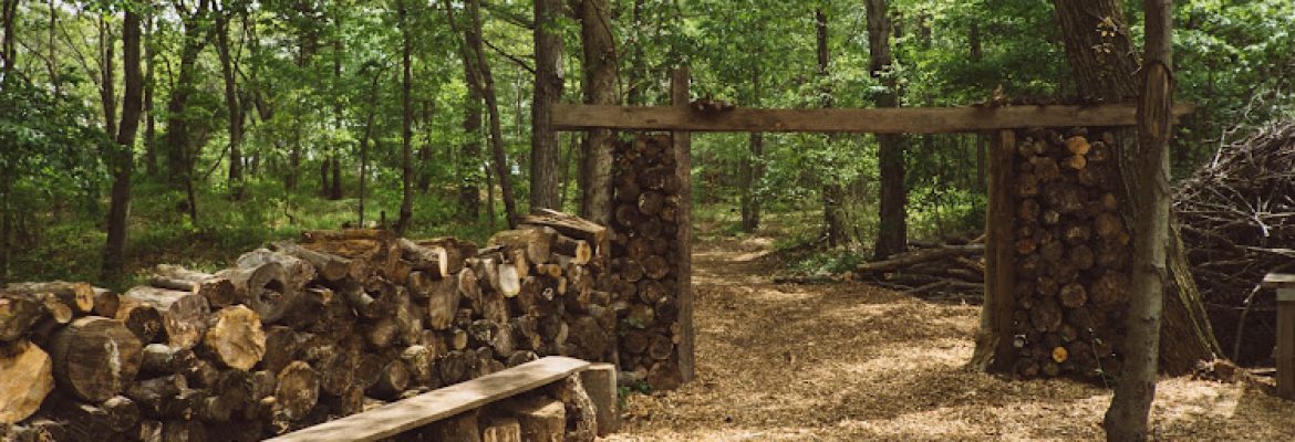 The Woods at Red Root Farm