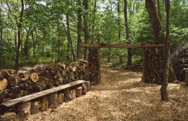 The Woods at Red Root Farm