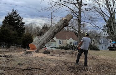 S&E Tree Service LLC