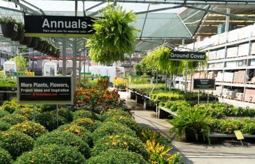 Garden Center at The Home Depot