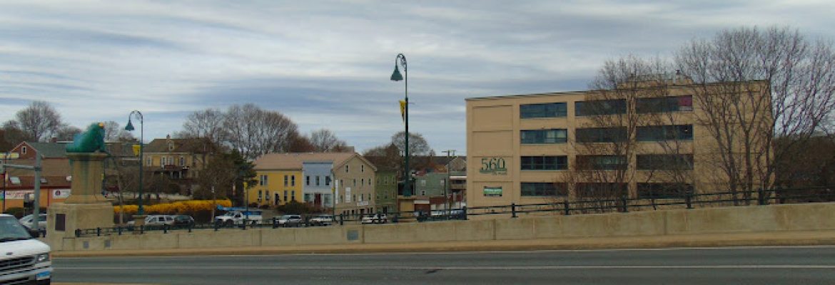 Frog Bridge