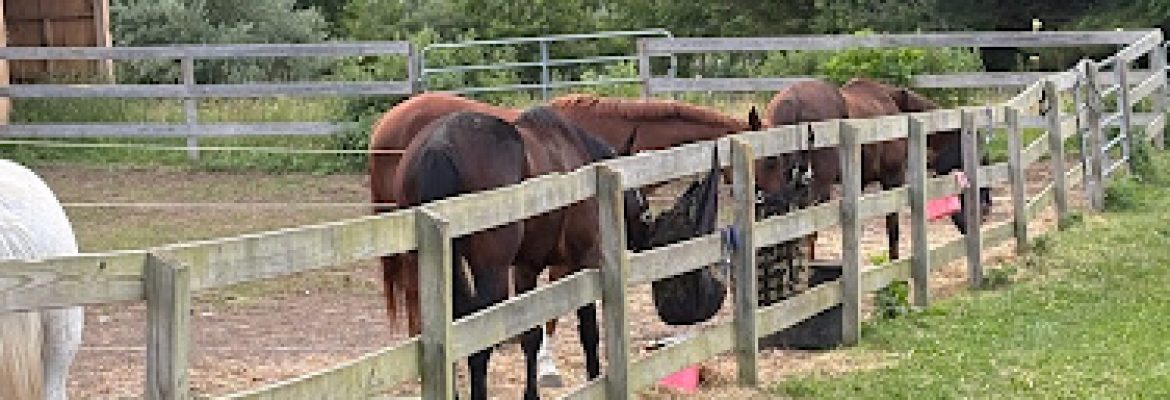 Angel and Anchor Farm