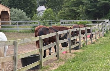 Angel and Anchor Farm