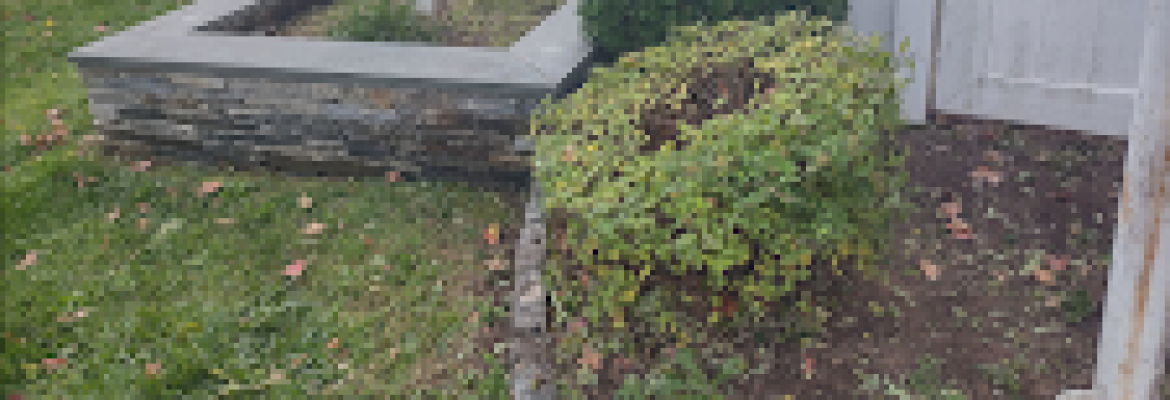 MARSIL Landscaping