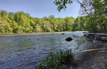Sega Meadows Park