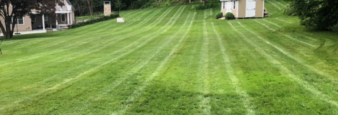 LT Landscaping & Masonry