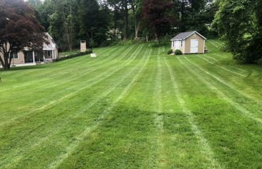 LT Landscaping & Masonry