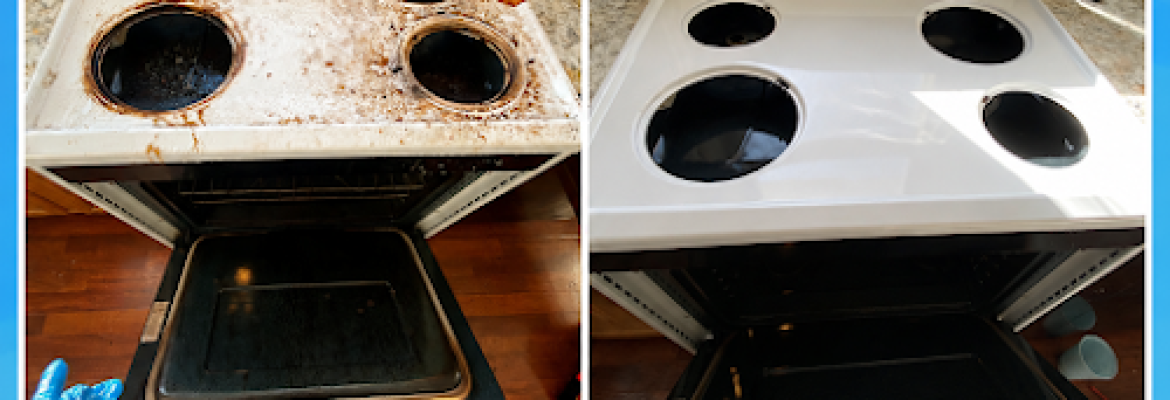 Professional Cleaning Service LLC