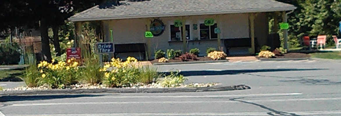 South Windsor Mini Golf