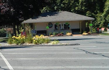 South Windsor Mini Golf