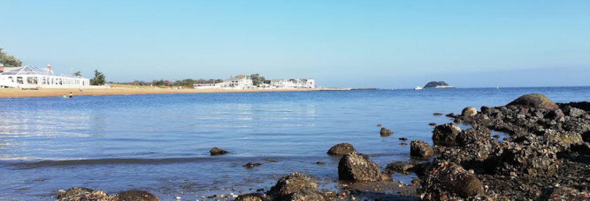 Surf Club