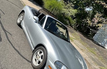Civali’s Auto