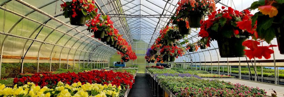 Halfinger Farms